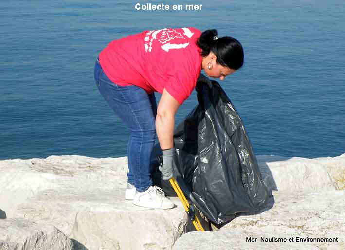 Collecte - Plus propre ma ville