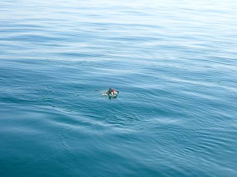 2026 croisiere 02 045